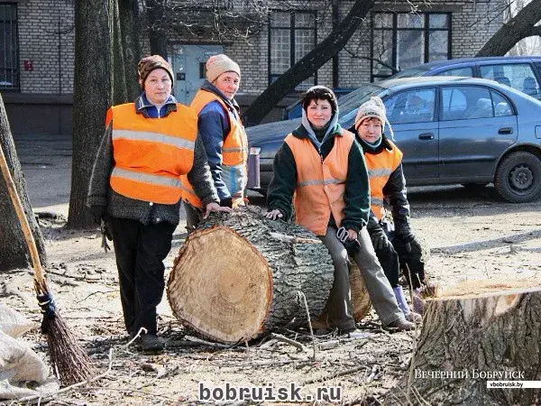 Бобруйск — наш общий и красивый дом, а мы наводим в нем порядок!» |  bobruisk.ru