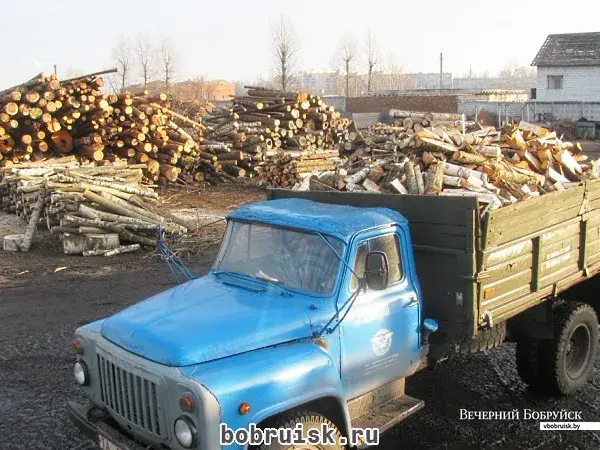 Вывезти топливо граждане обязаны до 15.00 31 декабря | bobruisk.ru