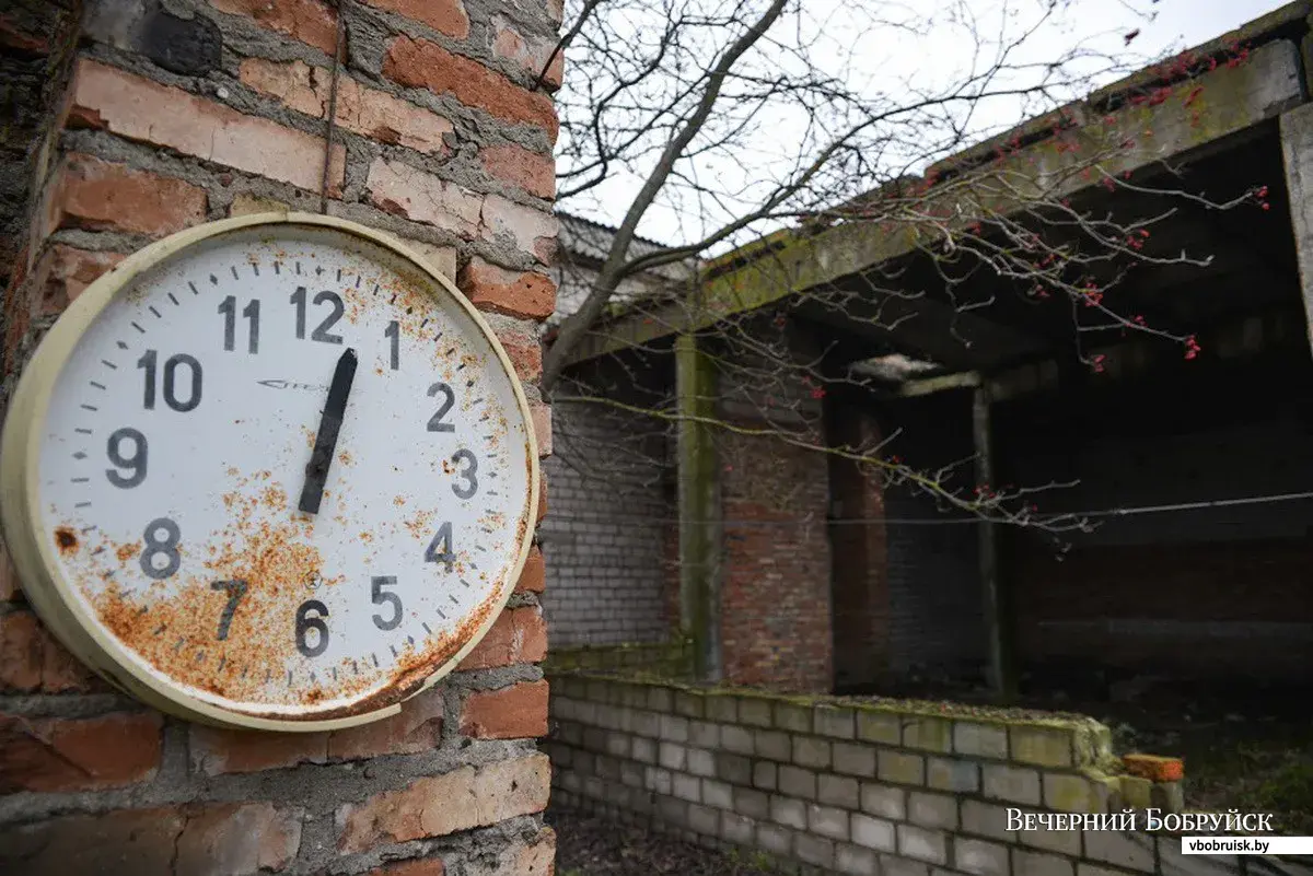 Работники бывшей скотобойни райпо оказались на улице | bobruisk.ru