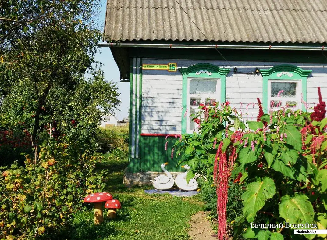 Деревенька моя. Добро пожаловать в Большие Бортники! | bobruisk.ru