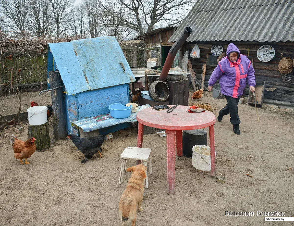 Путешествие на край света | bobruisk.ru