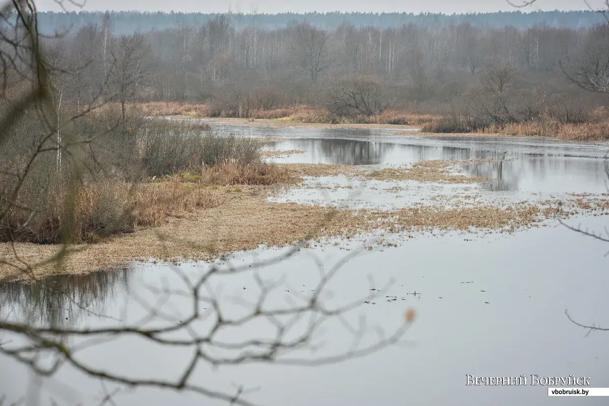 Путешествие на край света | bobruisk.ru