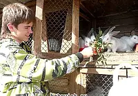 Центр юных натуралистов г. Бобруйска
