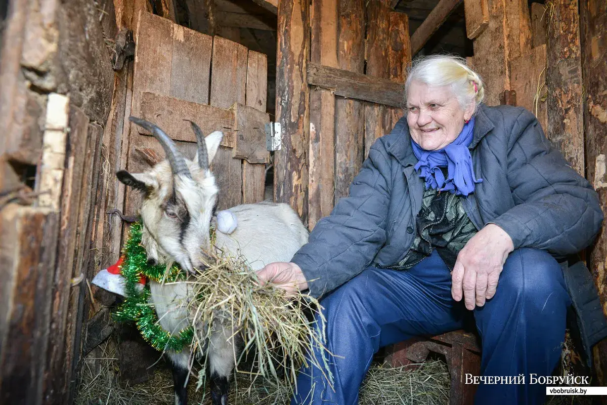 В гостях у ее величества Козы | bobruisk.ru