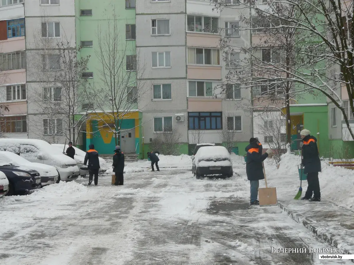 Дворник – должность ответственная | bobruisk.ru