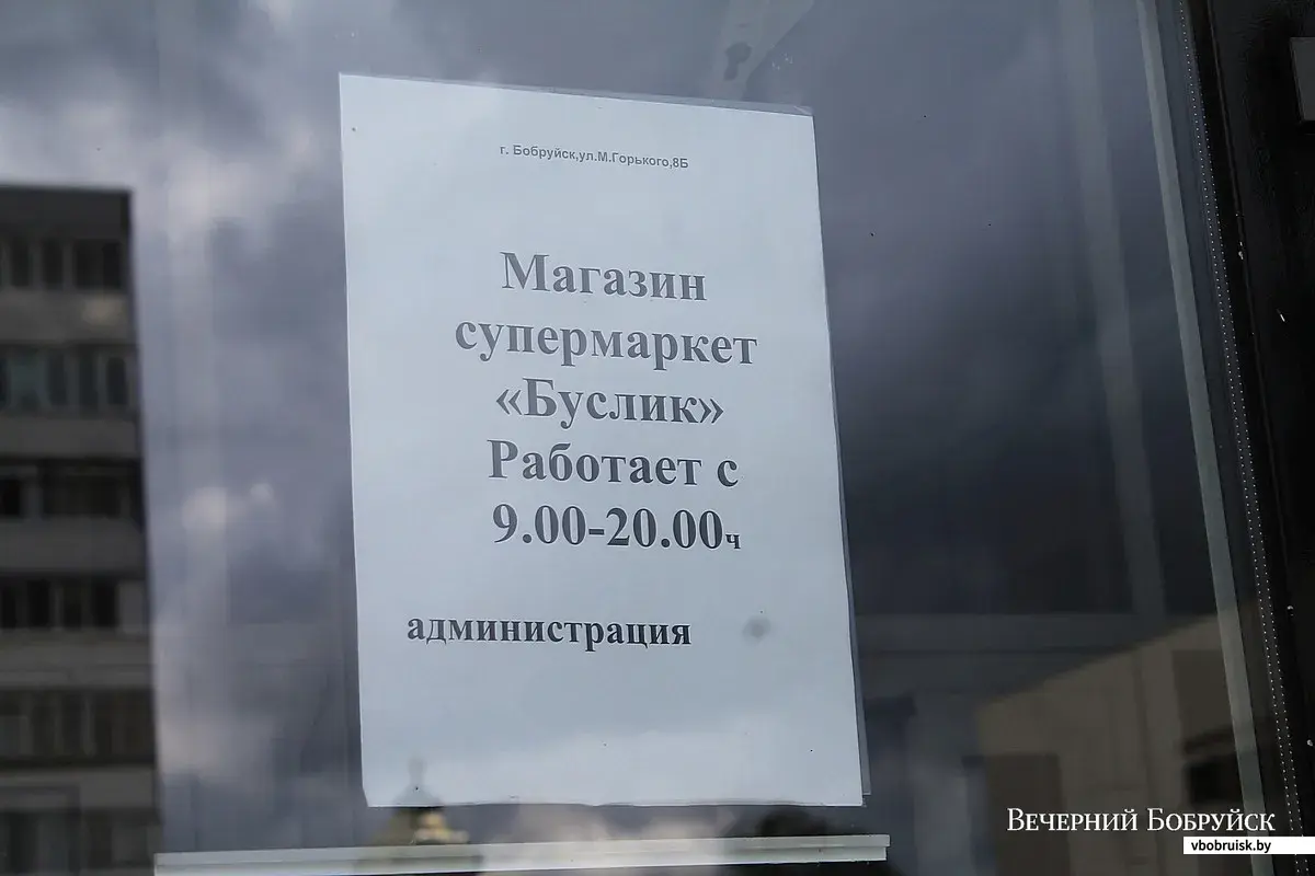 Русский со словарем? Не слишком ли мы увлеклись заимствованием иностранных  слов | bobruisk.ru