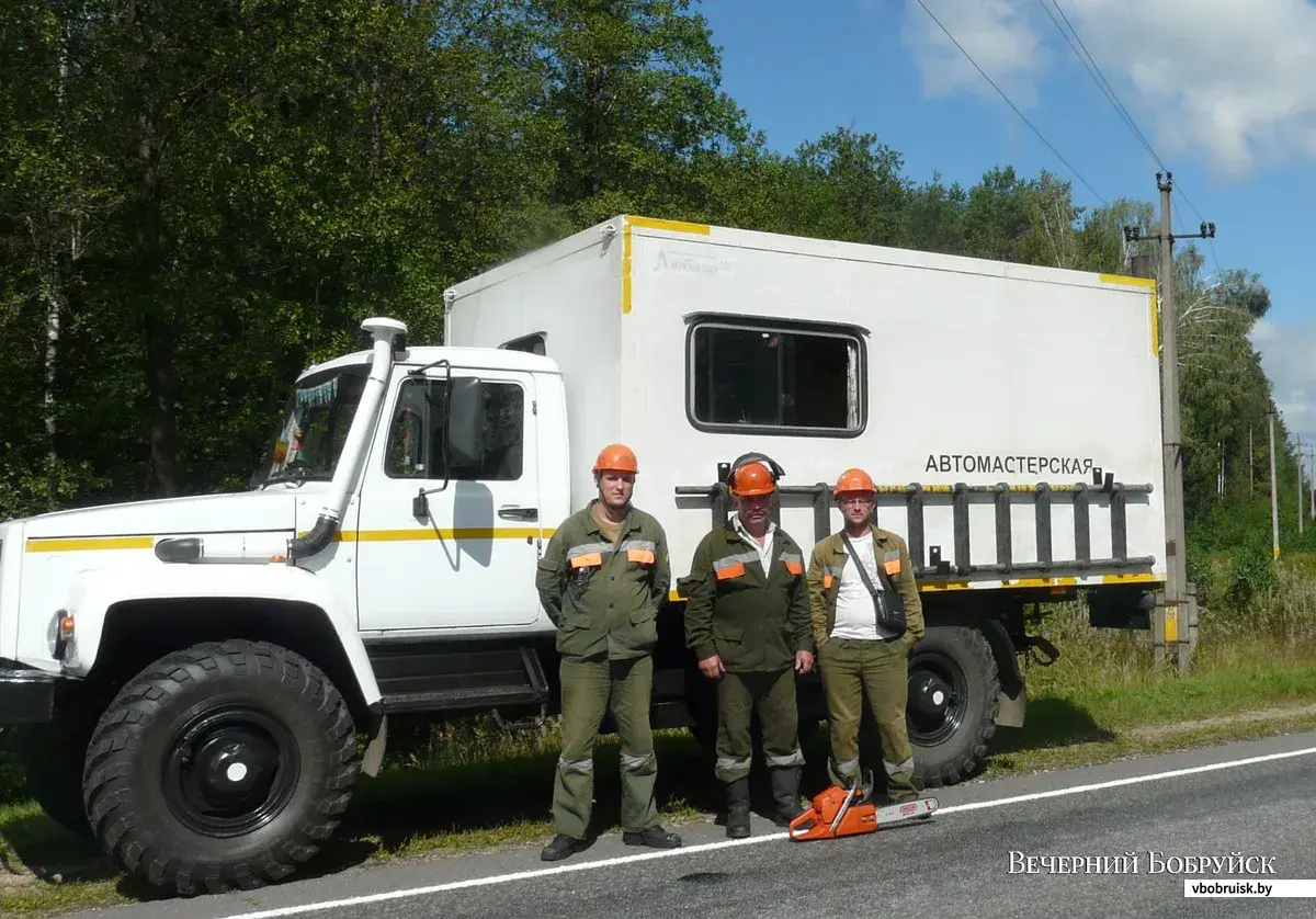 Почему в деревнях иногда отключают свет?* | bobruisk.ru