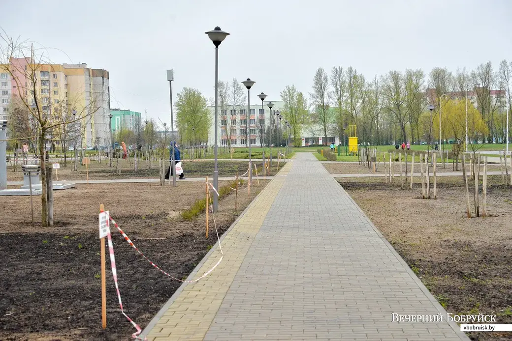 15.05.2017, Бобруйск. Новые деревья в Молодежном парке