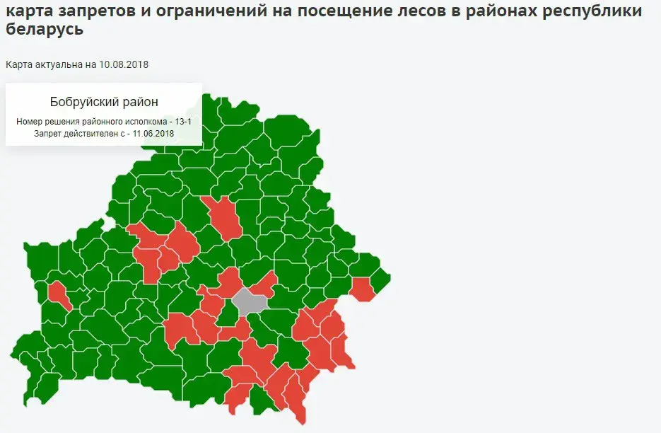 В Бобруйском районе снова ввели запрет на посещение лесов