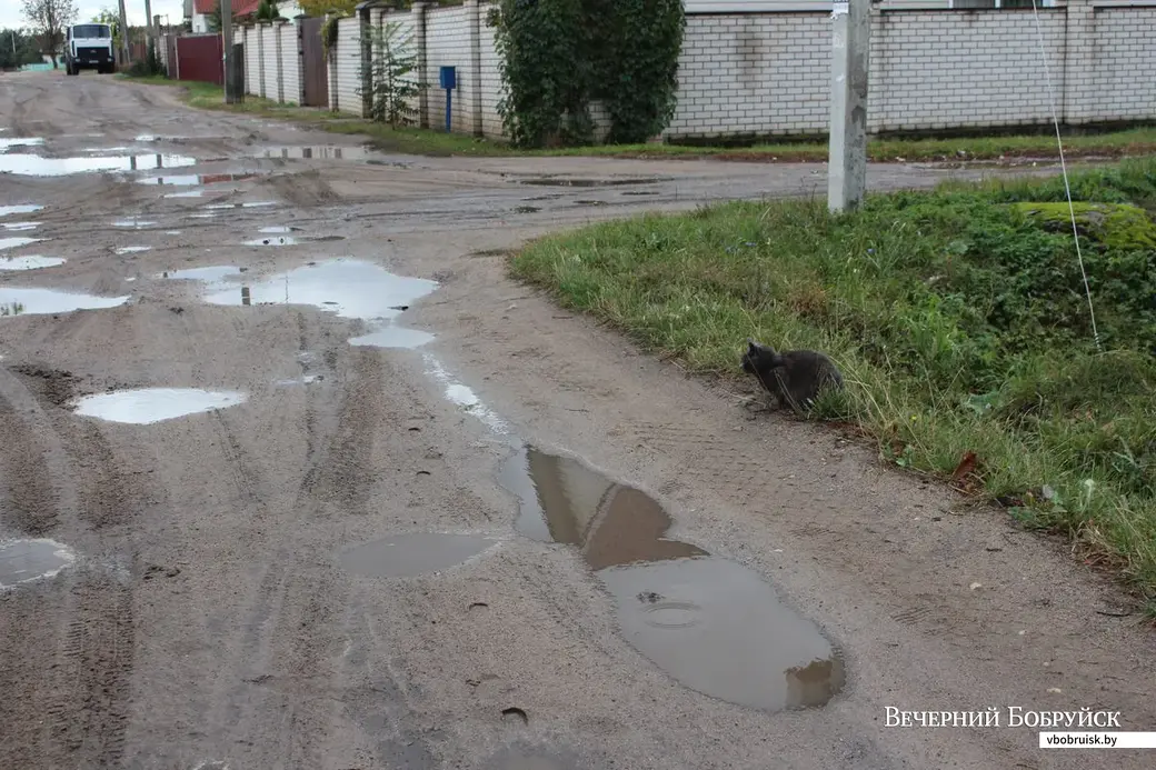 Переулок Осоавиахима в Бобруйске, 4 октября 2018 года.