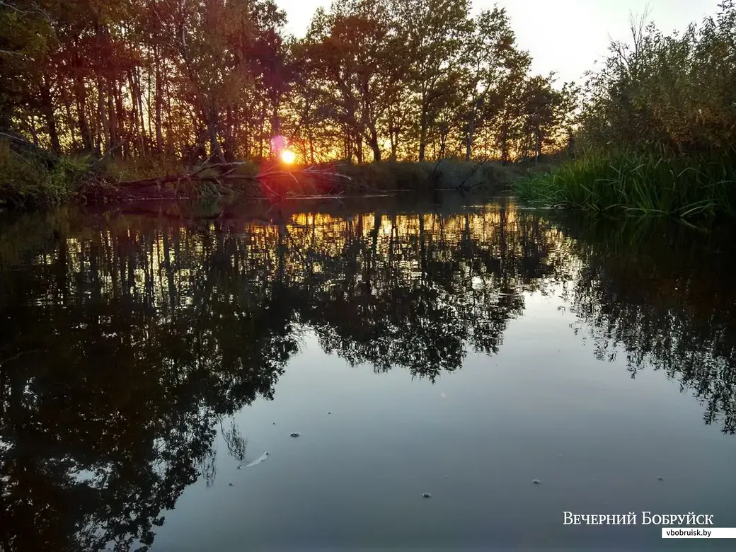 13.10.2018, Бобруйск.