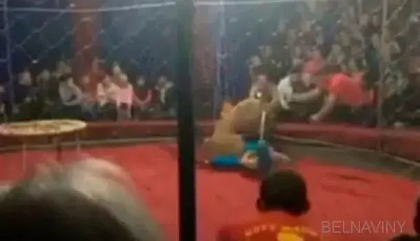 Фото: из соцсетей