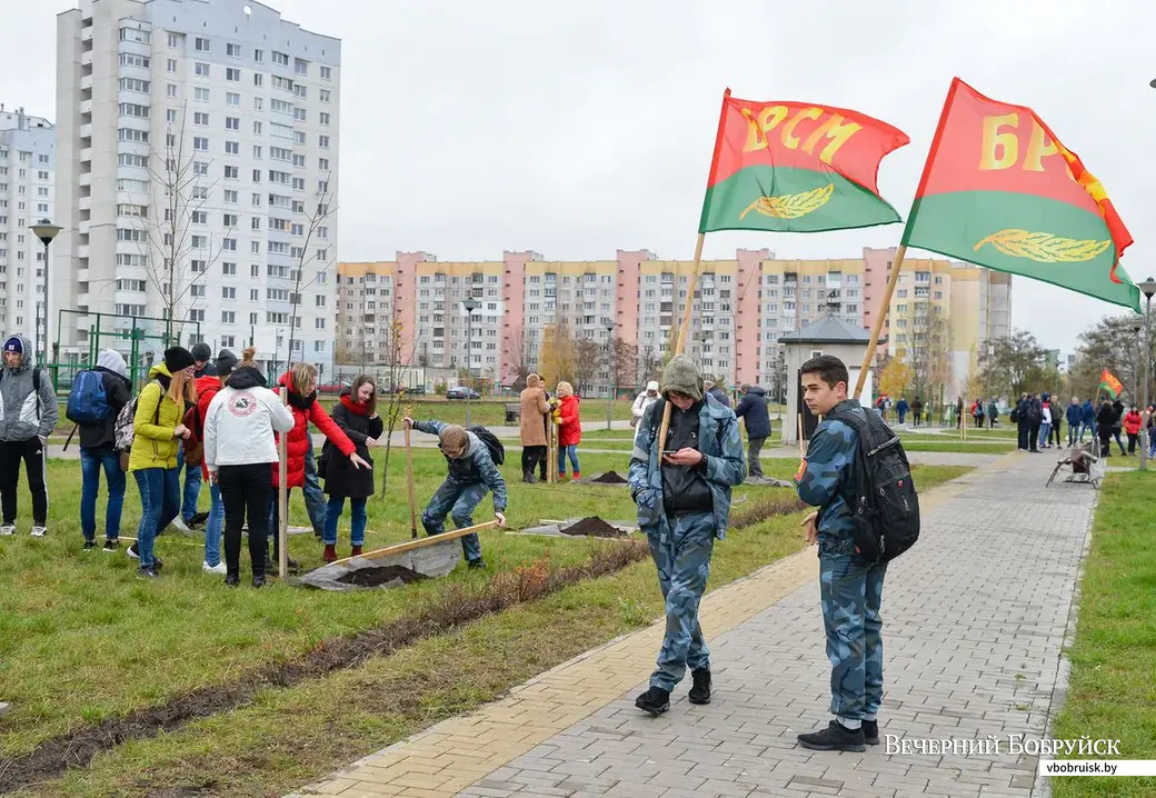 29.10.2018. Акция БРСМ к 100-летию ВЛКСМ. Высадка деревьев в Молодежном парке