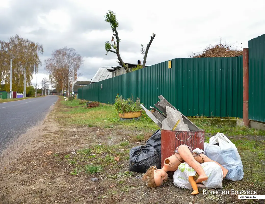 26.10.2018. Сбор мусора в деревне Телуша