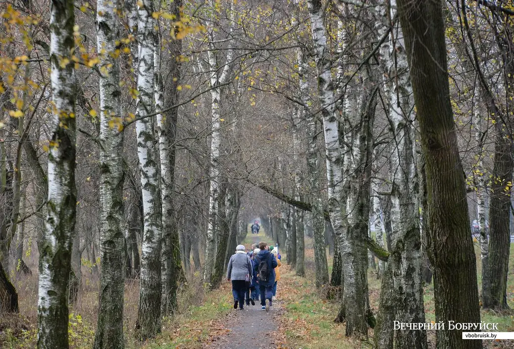 03.11.2018. Воспитанники Центра туризма, краеведения и экскурсий детей и молодежи города Бобруйска и члены еврейской общины почтили память узников Бобруйского гетто,
