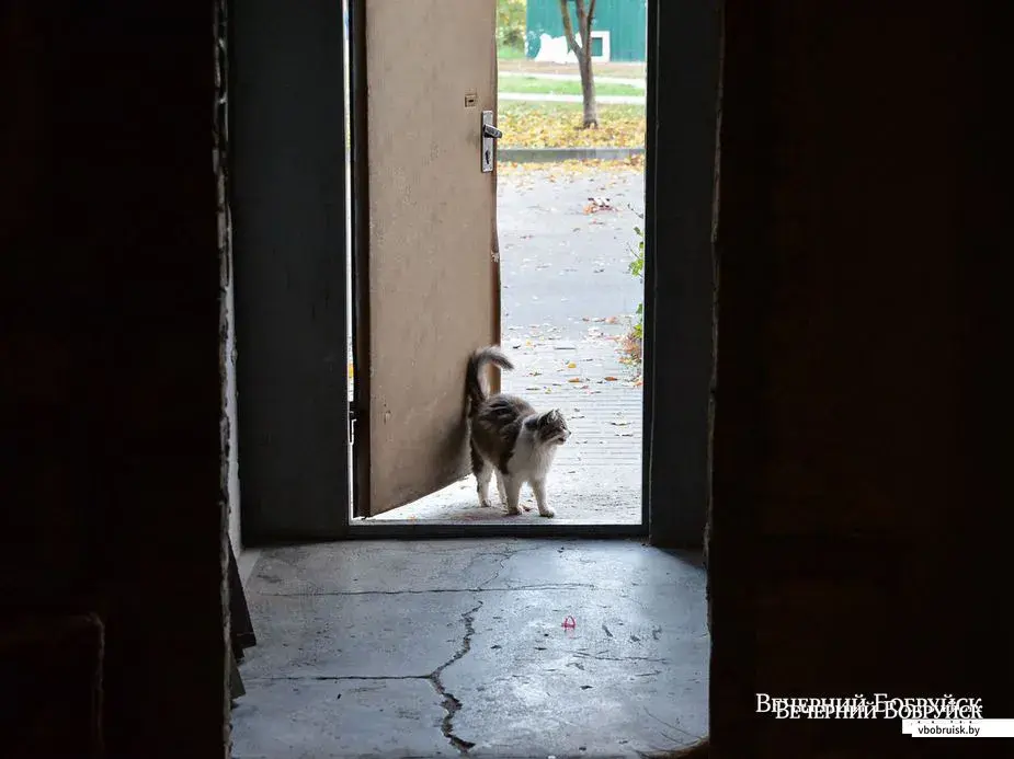 Фото: Александр ЧУГУЕВ
