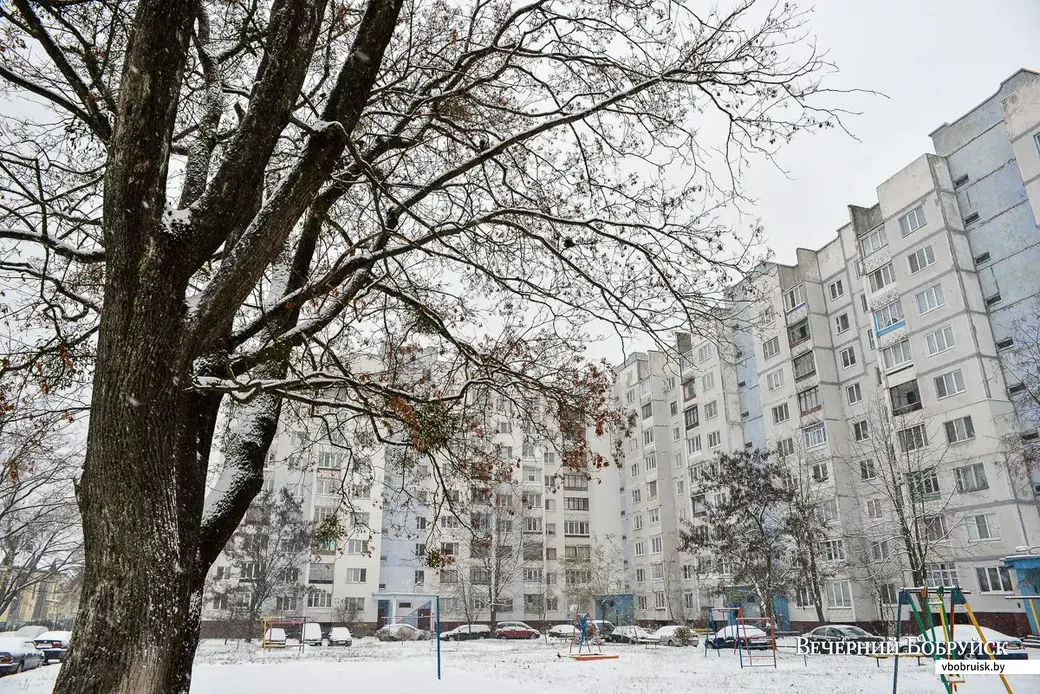 14.11.2018. Первый снегопад сезона 2018-2019 года