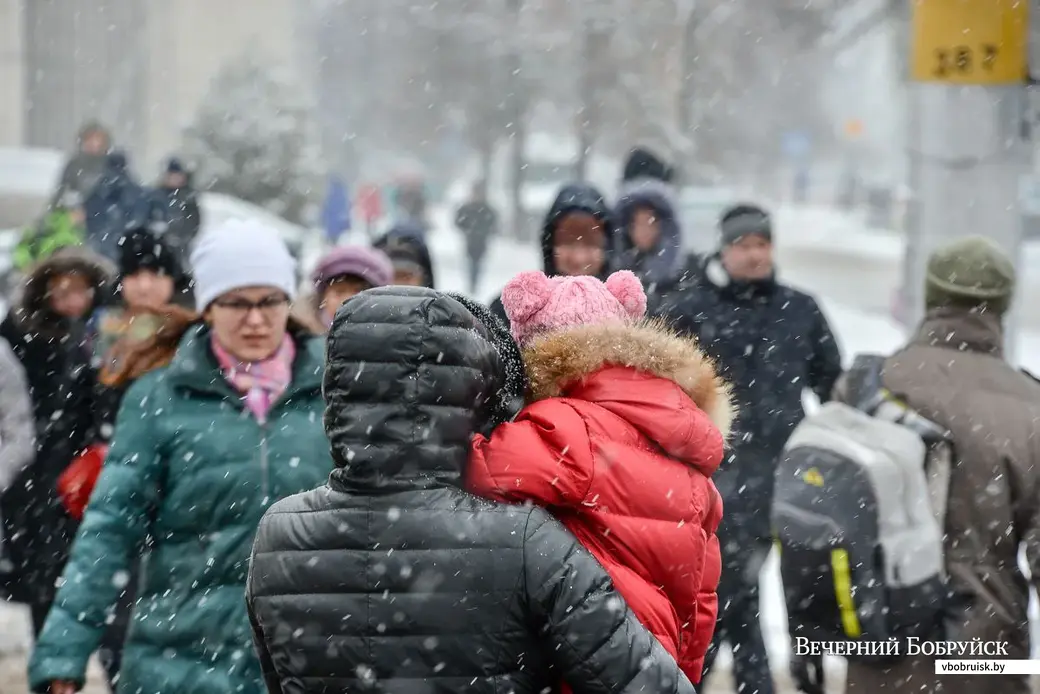 14.11.2018. Первый снегопад сезона 2018-2019 года