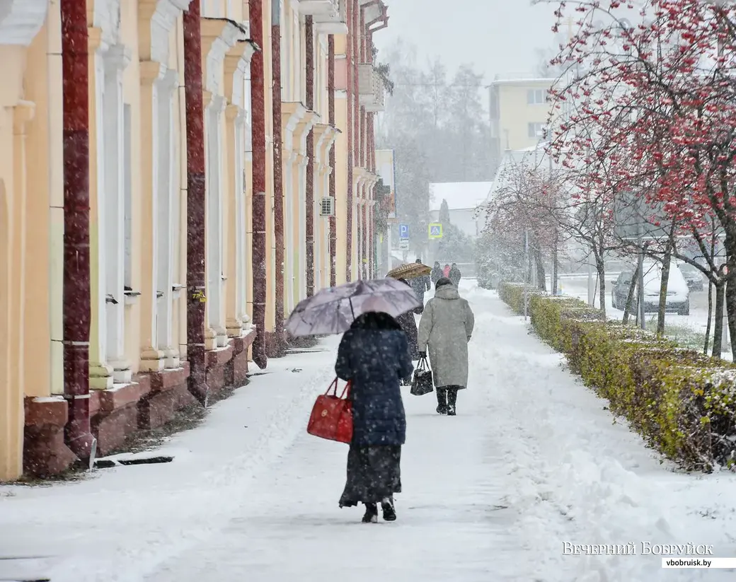 14.11.2018. Первый снегопад сезона 2018-2019 года
