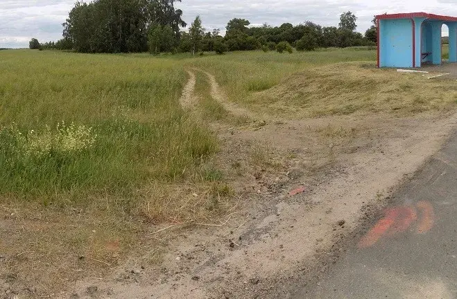 Остановка, рядом с которой нашли тело девушки (фото: СК). Тело было спрятано в кустах на дальнем плане.