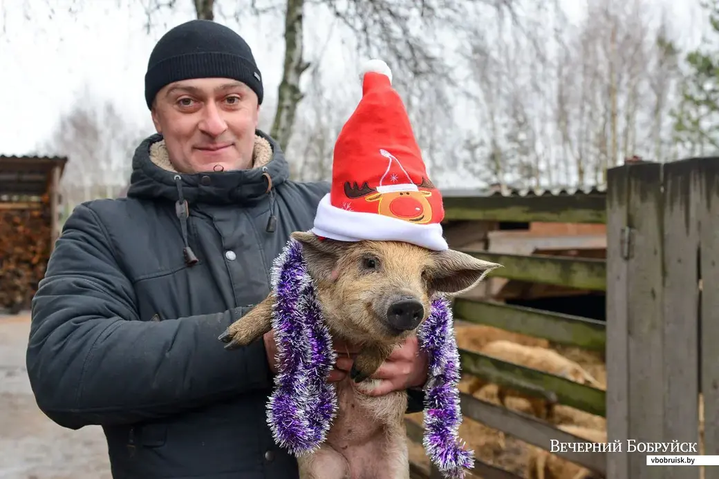 Игорь Глушаков с одним из своих питомцев – поросенком породы «пуховая венгерская мангалица».