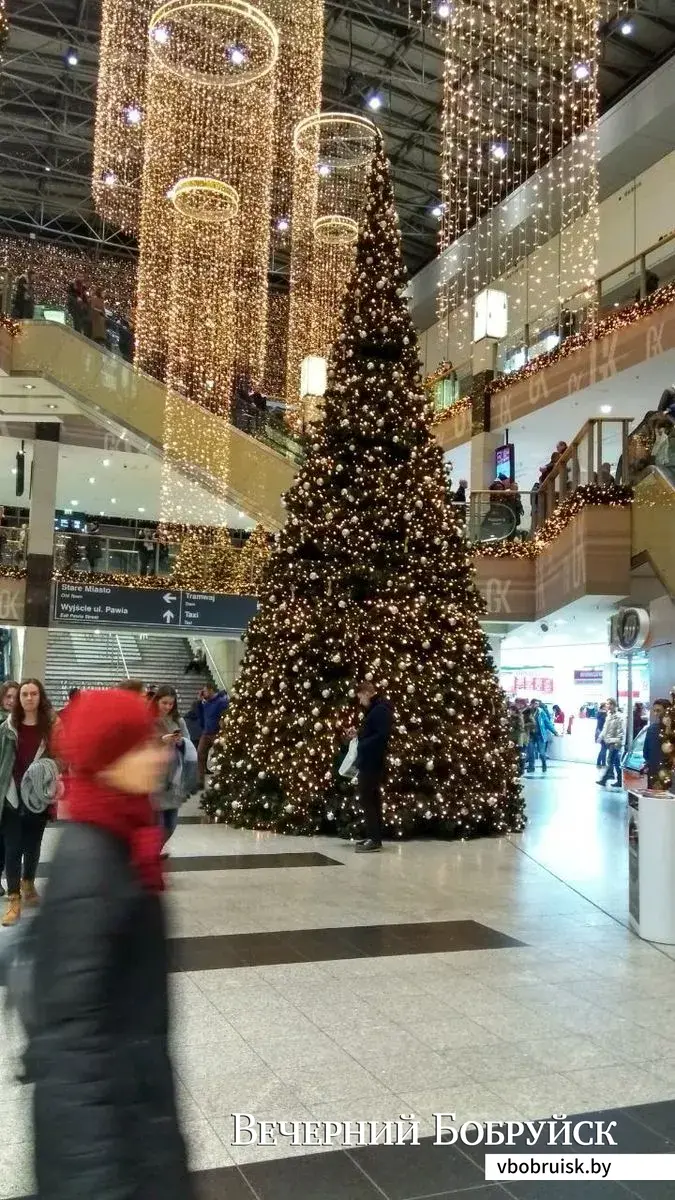 В торговом центре в Кракове. Фото героя материала.