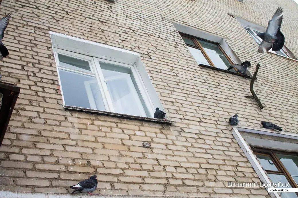 В районе ул. Интернациональной и Каменского