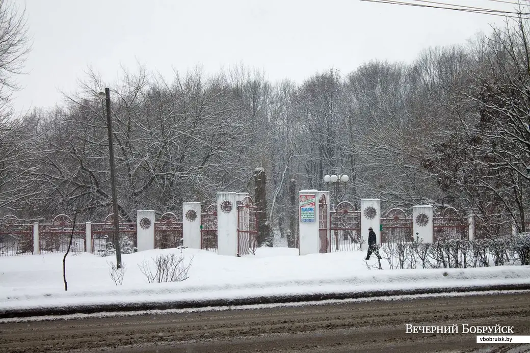 Городской парк культуры и отдыха