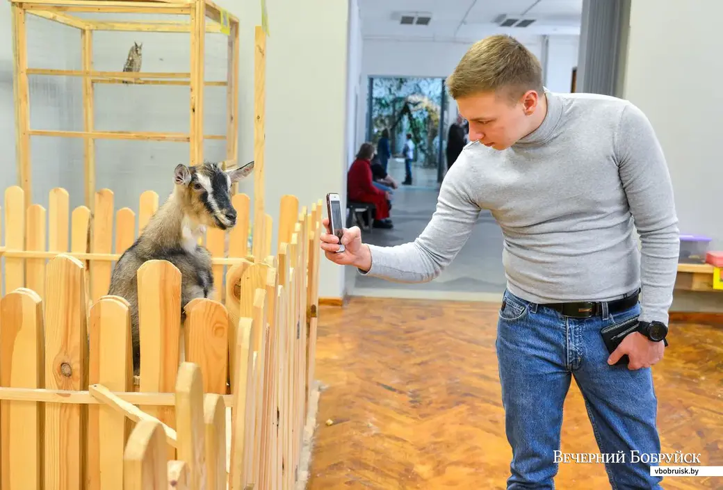 Выставки интересна и взрослым и детям.
