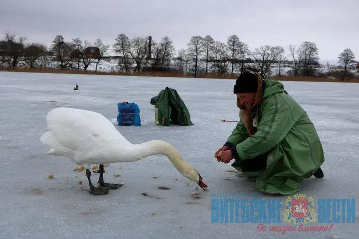 Фото: Витебские вести