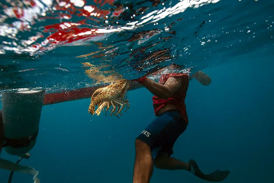 «Опасное погружение»
Фото: Rodrigo Abd / AP / Pictures of the Year International