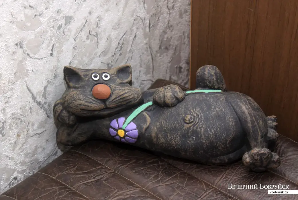 Бобруйские коллекционеры. Кот в санатории