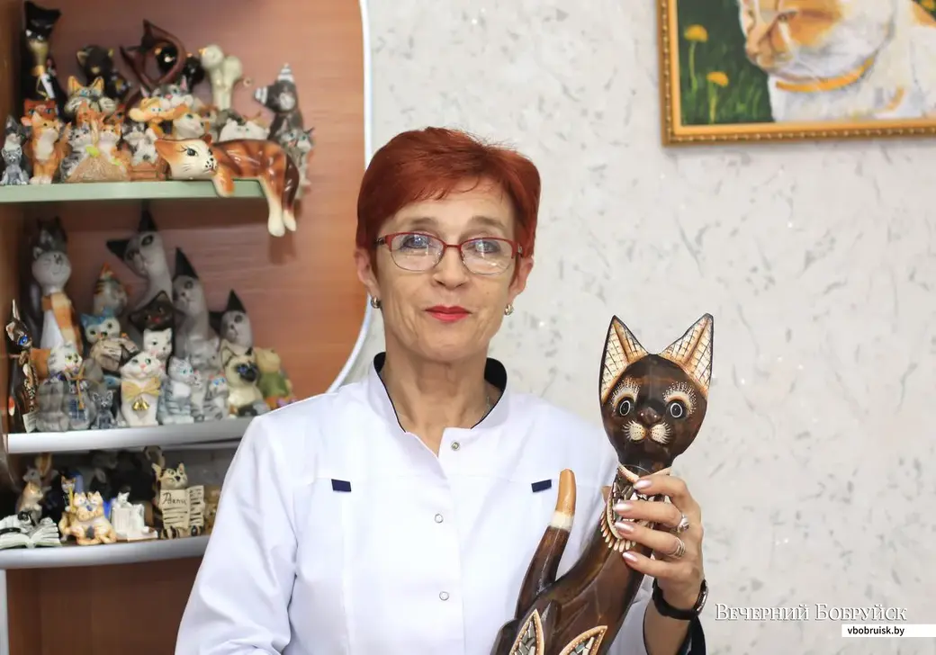 Бобруйские коллекционеры. Лариса Кондратенко с котами