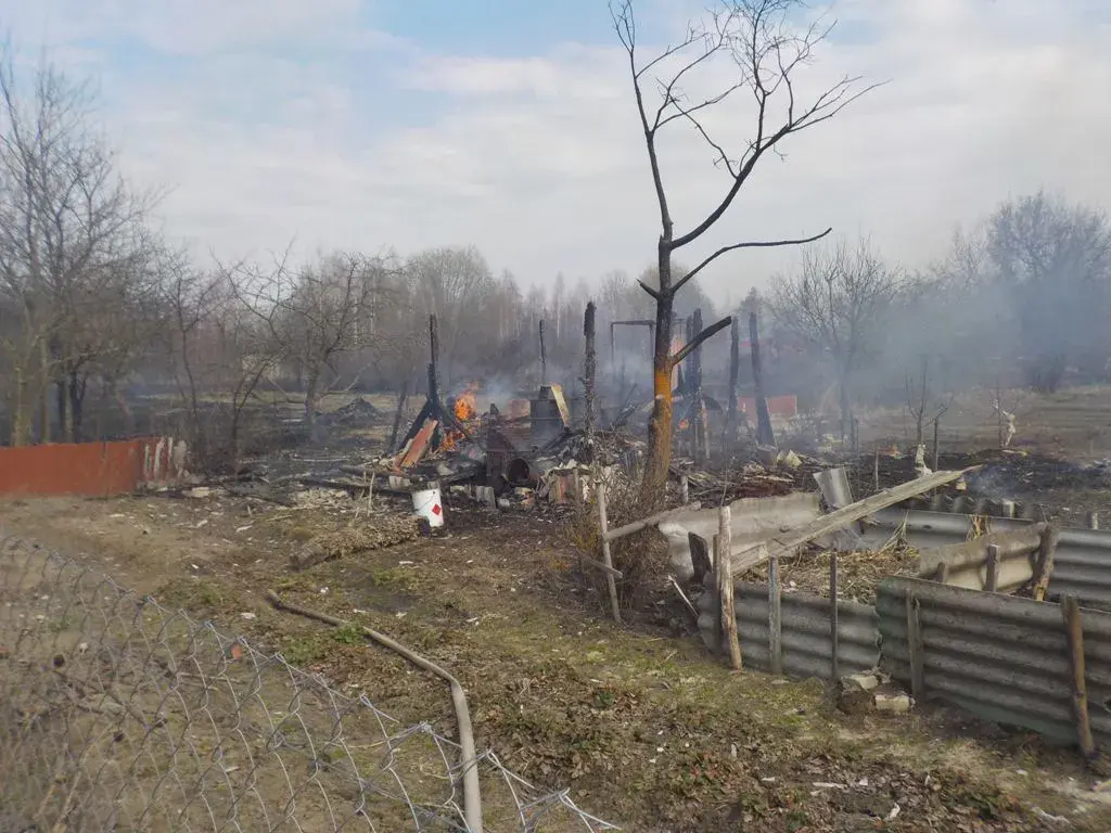 Пожар в СТ «Омельня» Воротынского сельсовета. Фото Бобруйского горрайотдела по ЧС