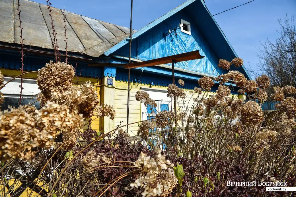 Дом на улице Социалистической