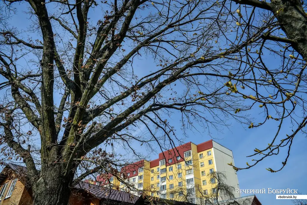18.04.2019. Район санатория имени В.И.Ленина