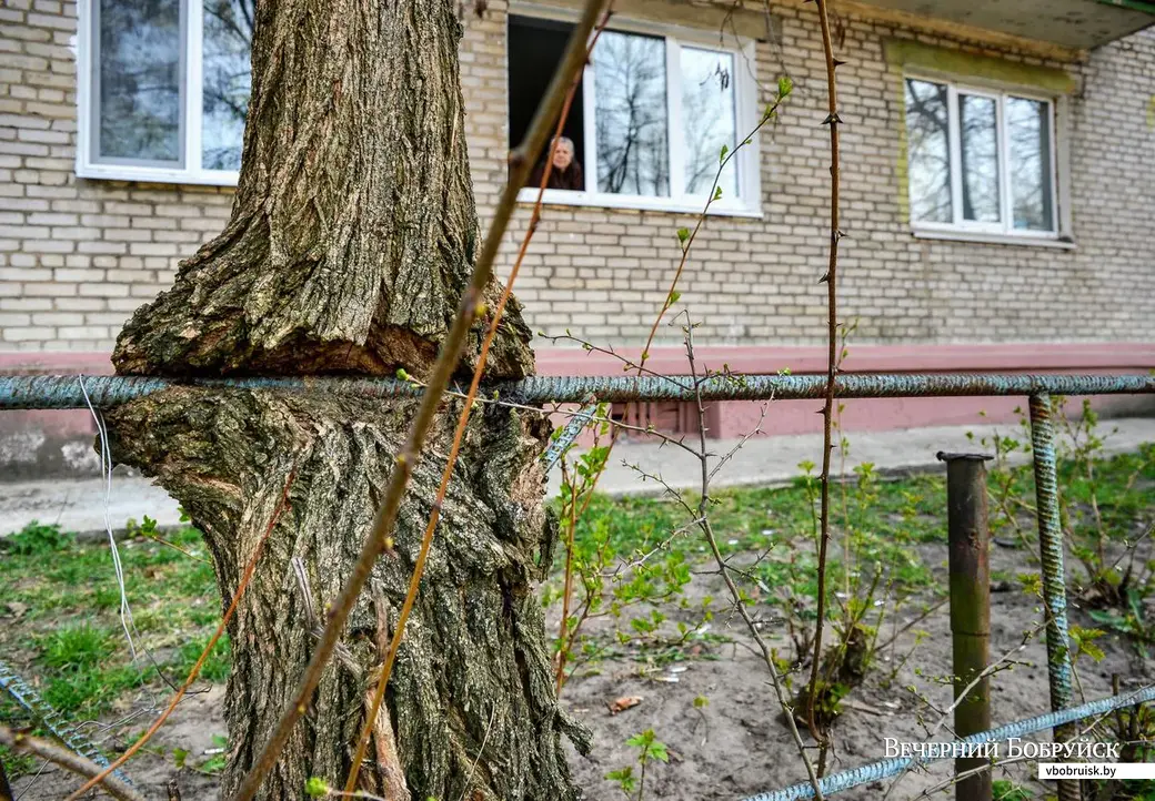 18.04.2019. Район санатория имени В.И.Ленина