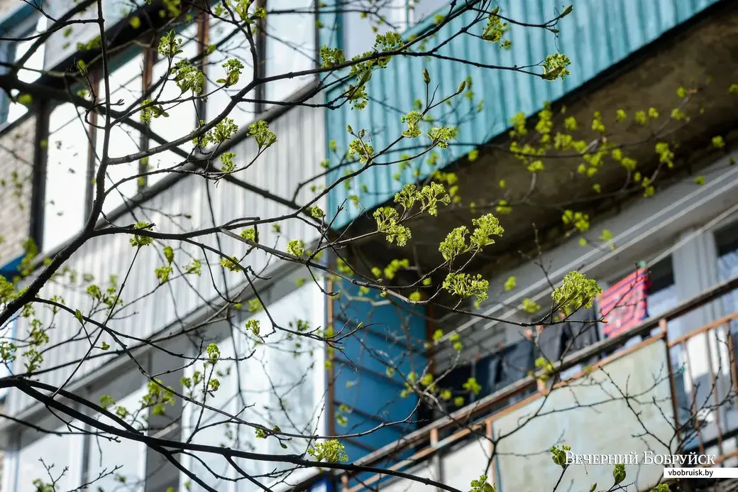 18.04.2019. Район санатория имени В.И.Ленина