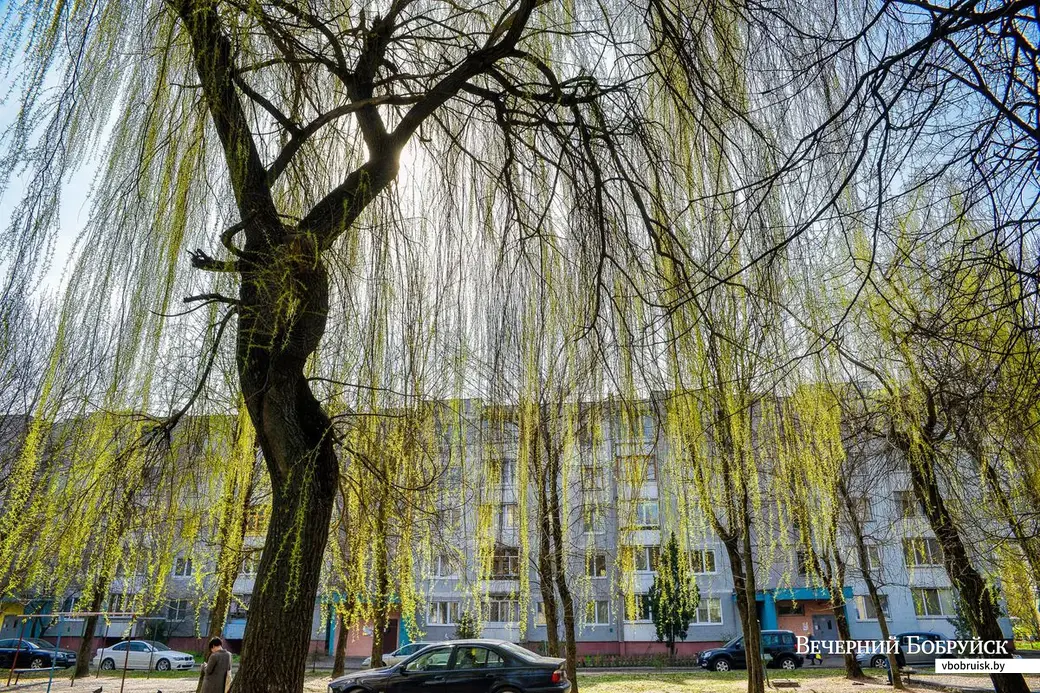 18.04.2019. Район санатория имени В.И.Ленина