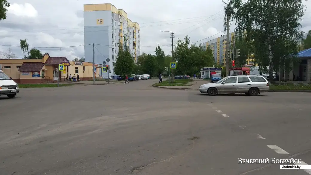 11 мая в Бобруйске на улице Ванцетти собака покусала пятерых.