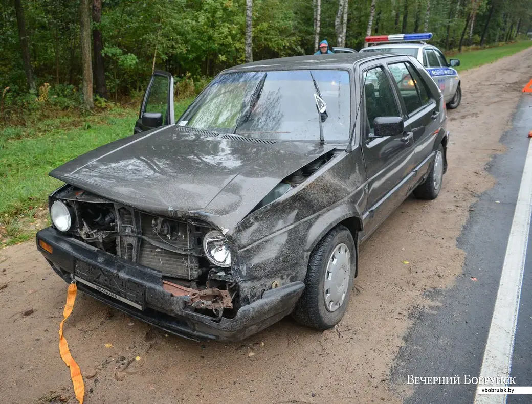 27.09.2015, Бобруйск. На автодороге Р2 легковой автомобиль столкнулся с диким кабаном, неожиданно выбежавшим на дорогу.