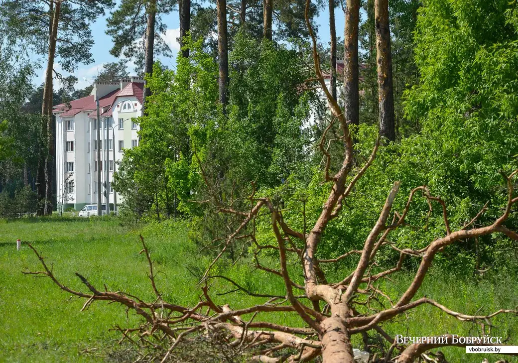 23.05.2019. Микрорайон Киселевичи