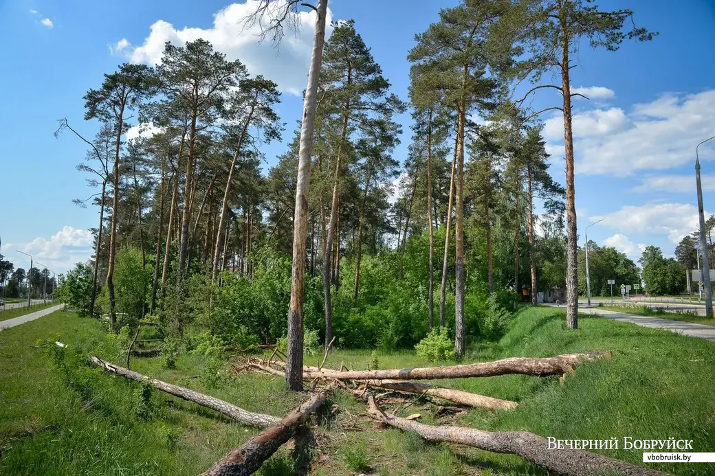 23.05.2019. Микрорайон Киселевичи