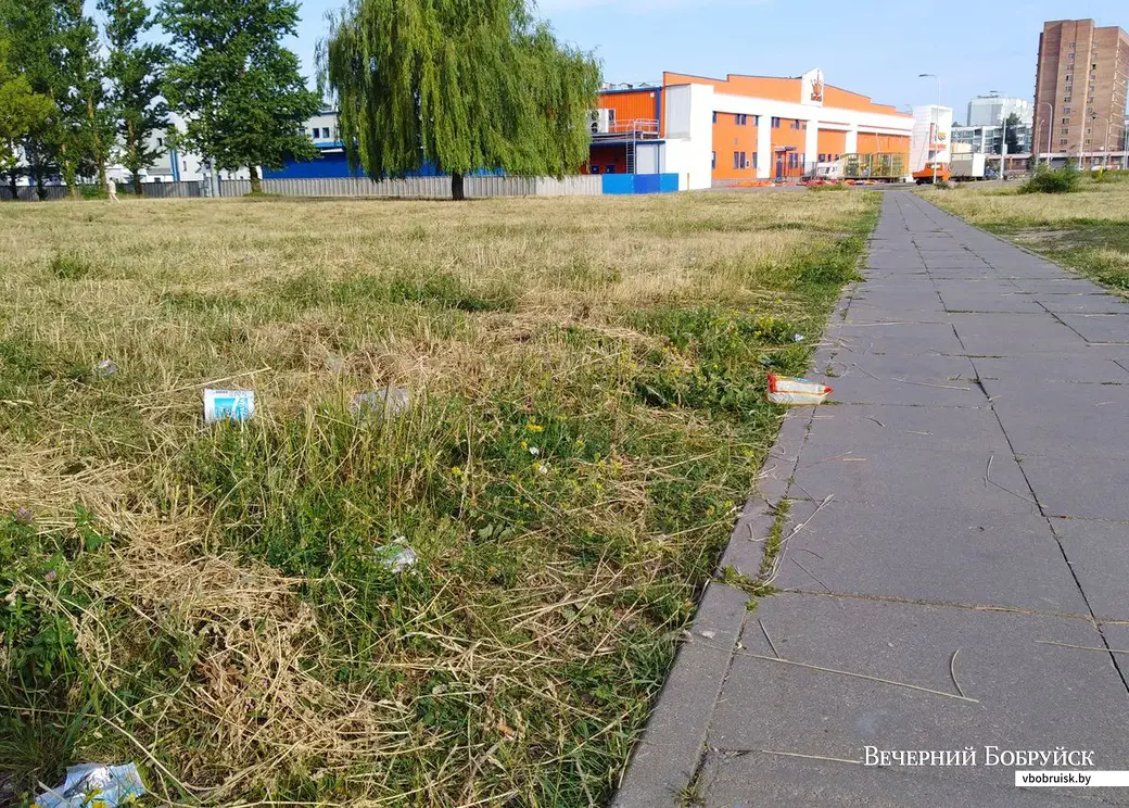 20.06.2019, Бобруйск. Квартал между улицами 50 лет ВЛКСМ и Ульяновской.