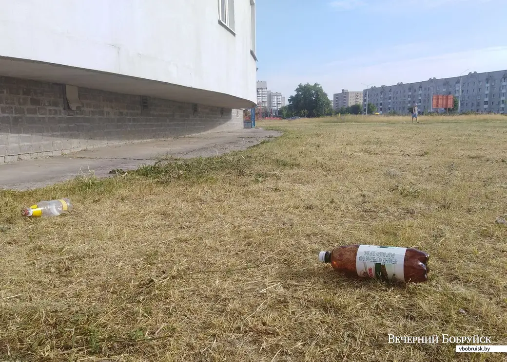 20.06.2019, Бобруйск. Дома на Ульяновской новые, проблемы с мусором старые.