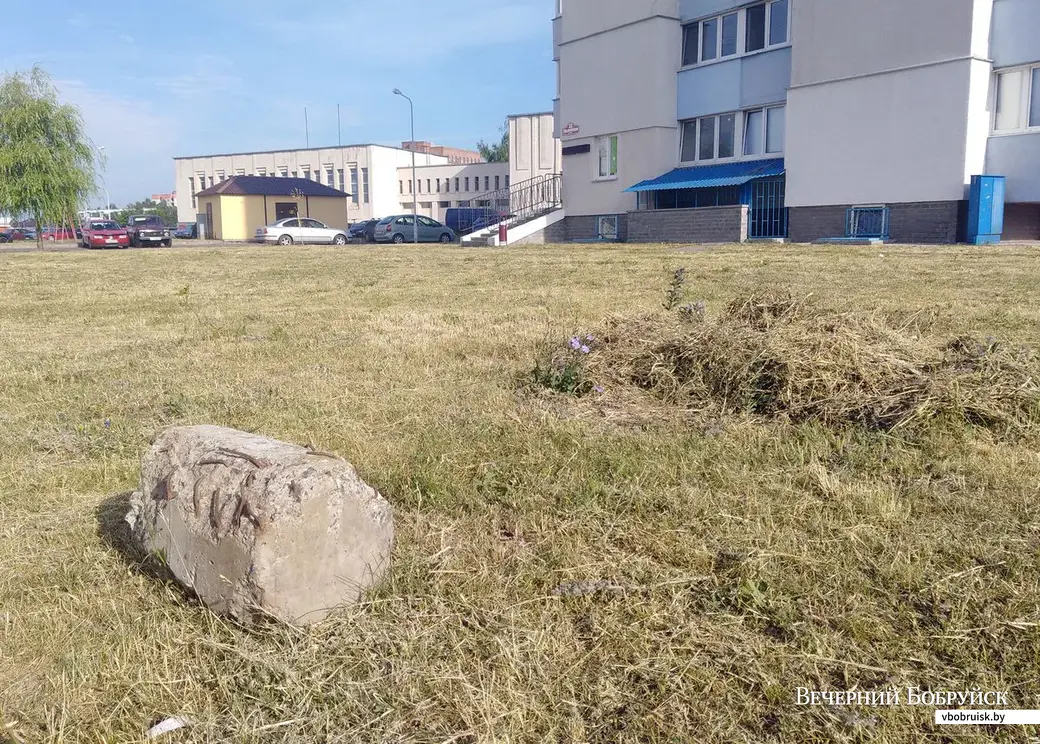 20.06.2019, Бобруйск. Квартал между улицами 50 лет ВЛКСМ и Ульяновской. Строительный мусор после каждой стройки остаётся на годы.