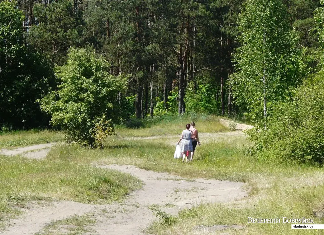 Фото Александра Чугуева из архива «ВБ»