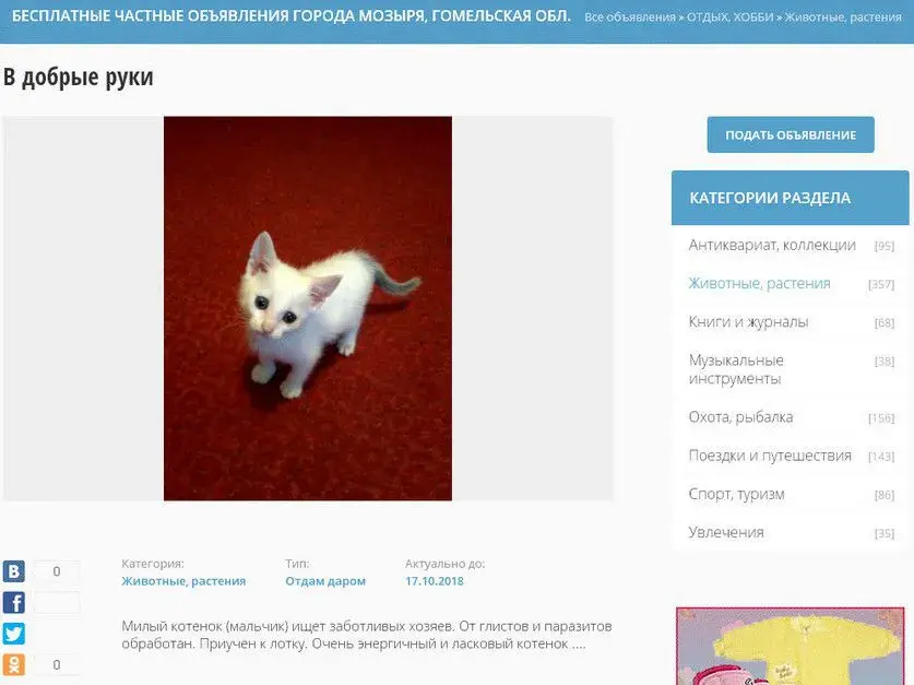 Скриншот СК