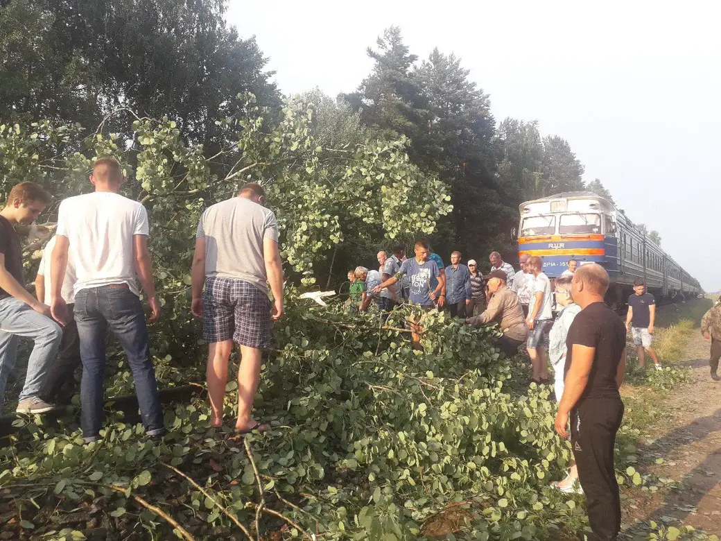 1.07.2019. Последствия урагана в Пинском районе. Фото Zello «Пинск ГАИ»