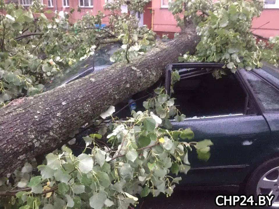 1.07.2019. Последствия урагана в Гомеле.